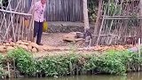 老奶奶拎着榴莲扔到河里