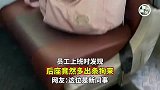 员工上班时发现，后座竟然多出条狗来，这位是新同事