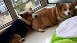 情人节就是要恩恩爱爱皮皮你要是被绑架了就眨眨眼