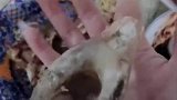 食骨髓不成反被卡，求助消防员