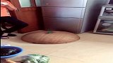 宝宝没事竟然钻到这里面去玩，感觉好皮呀，看完不许笑！