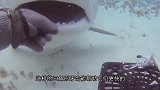 男子6岁孩子近距离看鲨鱼，出现意想不到的画面，镜头记录全过程