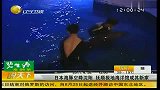 日本海豚空降沈阳 抚顺极地海洋馆成其新家