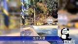 爆笑小姐姐失误盘点，真是又菜又爱玩，我已经笑得不行了！