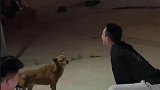 这应该是属于酒后吐真言了吧