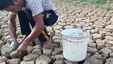 干水的河底里摸鱼，农村人的快乐时光，搬开泥块满满一窝，爽歪歪