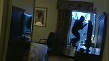 美国一男子面对警察逮捕时试图跳窗逃走 撞在玻璃上后束手就擒