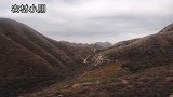 小朋太行山寻奇石，不料发现精品黄荆，工具都没带的他怎么挖下来