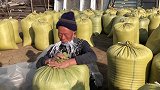 农民王小：140斤一袋扛起来，水稻大丰收！屯亲来帮忙，热闹