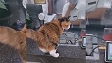 女孩的心思男孩你别猜！