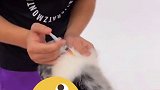 光天化日之下，居然有人对一个女孩朵朵......宝贝打疫苗