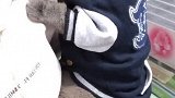 看看这小表情说它是跟屁虫就这反应