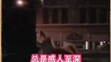 你的世界里有很多人，但狗的世界里只有你