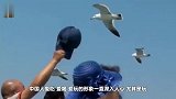 中国游客去这旅游遭歧视,罚钱收小费,当地人觉得中国人人傻钱多