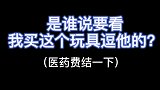 小姑娘, 谁让我用这玩具逗猫咪的, 医药费结一下