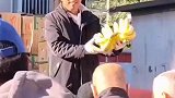 东北早市的烟火气，卖香蕉的大爷也太有意思了！