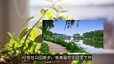 研究表明：多看绿色植物，可以减轻人们对烟酒以及垃圾食品的渴