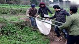 四川方言剧：南方姑娘到四川男友家，山路坐滑竿，摔个四脚朝天