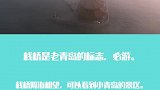 这些地方都没去青岛白来了！