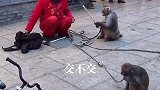 交还是不交！