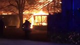 德国跨年夜违规燃放孔明灯 致动物园火灾 30多只动物死亡