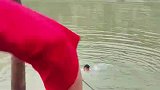 有人落水红发男子果断下水救人