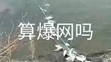 想问一下，这算是爆网吗