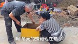 得知鹏鹏家耕地，平平和公爹放下手中活就去帮忙，相亲相爱一家人