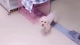 球宝告诉粉丝昨天为什么没直播