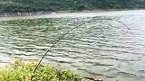 挑战百斤巨物，钓鱼人必看