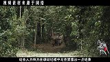 将军发现一只鸟，立即警觉起来，下令：赶紧撤退
