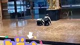为能取得好成绩，在孔子像前磕头跪拜