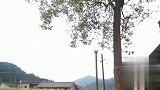 四川方言：两口子吹牛不打草稿，肚子都笑痛了