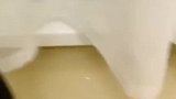 狗籽有一点点懵