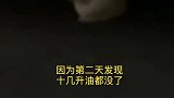 上海一女司机为给流浪猫取暖，车辆彻夜不熄火！