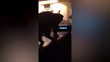 搞笑动物锦集不开心就打开短片看看，瞬间爆笑