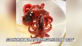 剧毒，没有解药！网友称在知名连锁寿司店吃到“蓝环章鱼”，这次是煮熟的！