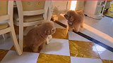 告状之后日子也不好过啊