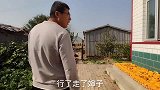 领证当天，小凯前任送来情书，平平很生气