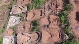 公园树木被伐露出上百座坟墓 吓坏居民