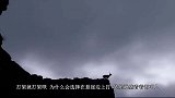 自然界的生死决斗，俩山羊在海拔万米悬崖边打架，一失足成千古恨