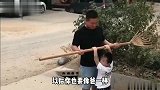 我家狗子跟钢筋干起来了，拦都拦不住啊