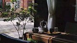 “温度和草木之间分寸感的对决，焕发着原始的生命张力。”