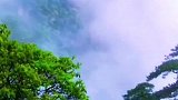 浙江最值得去的五大景点，建议收藏！