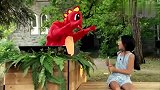 国外恶搞合集，铃声一直响，真是太奇怪了