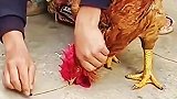 大伙看着呢，给我点面子