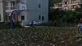 篮球场被无情霸占，这种菜真能长大