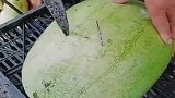 爸爸花几十块钱买的西瓜，切开那一刻，感觉亏大了！
