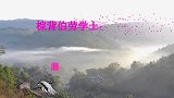 伯劳鸟叫声，伯劳鸟模仿土画眉叫声，模仿得好像呀