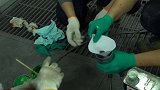 这个颜色很耀眼吧改装联盟 汽车团